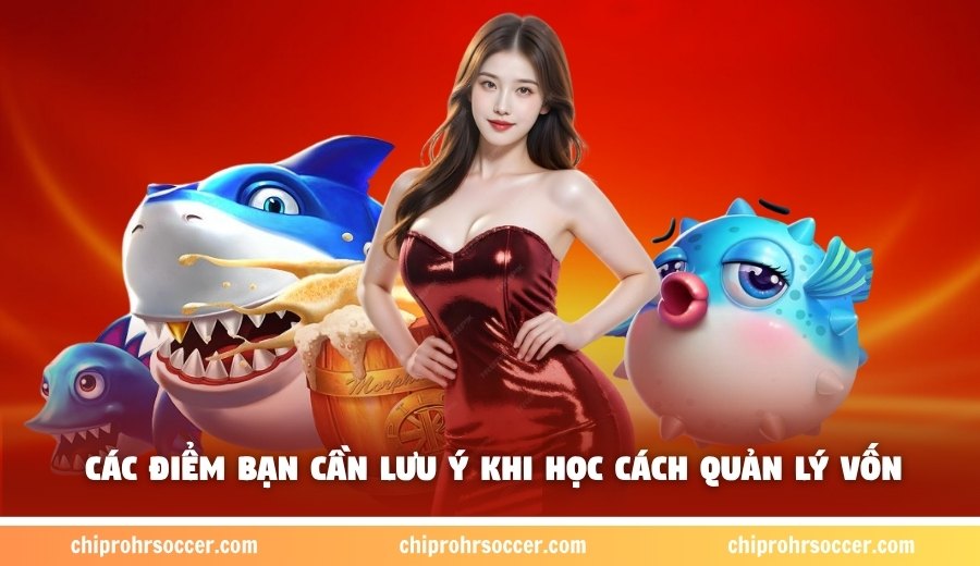 Tổng hợp các điểm bạn cần lưu ý khi học cách quản lý vốn