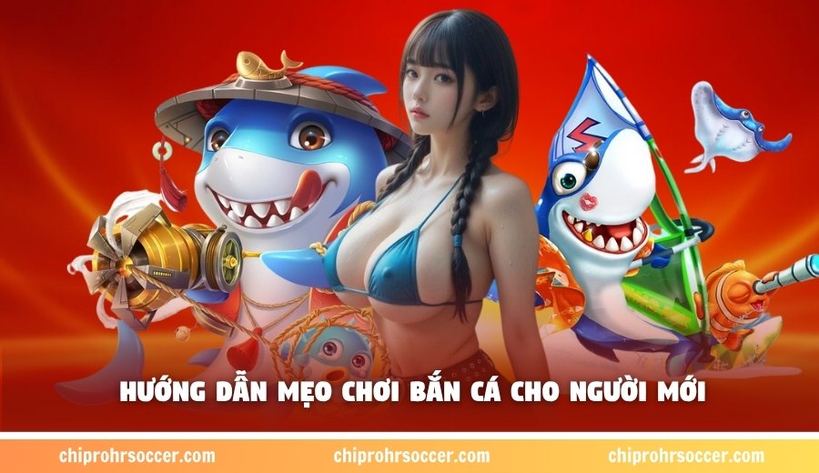 Hướng dẫn mẹo chơi bắn cá cho người mới