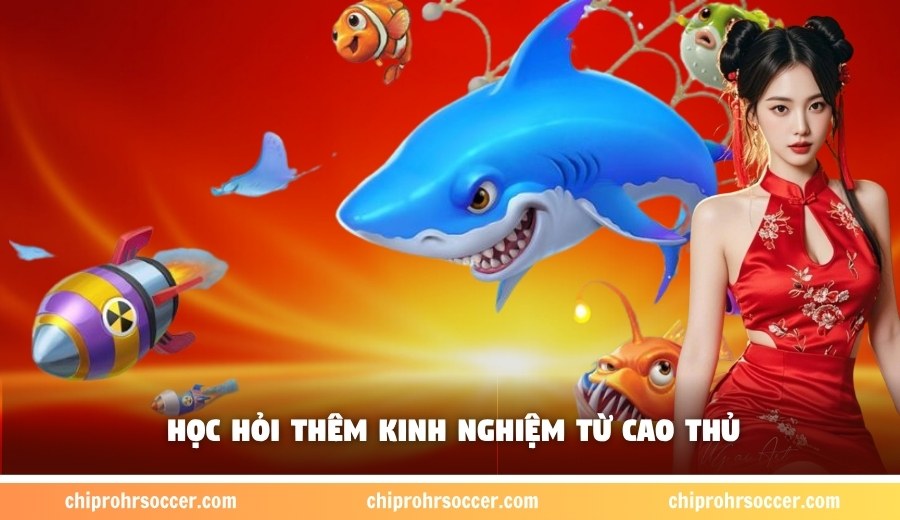 Học hỏi thêm kinh nghiệm từ cao thủ