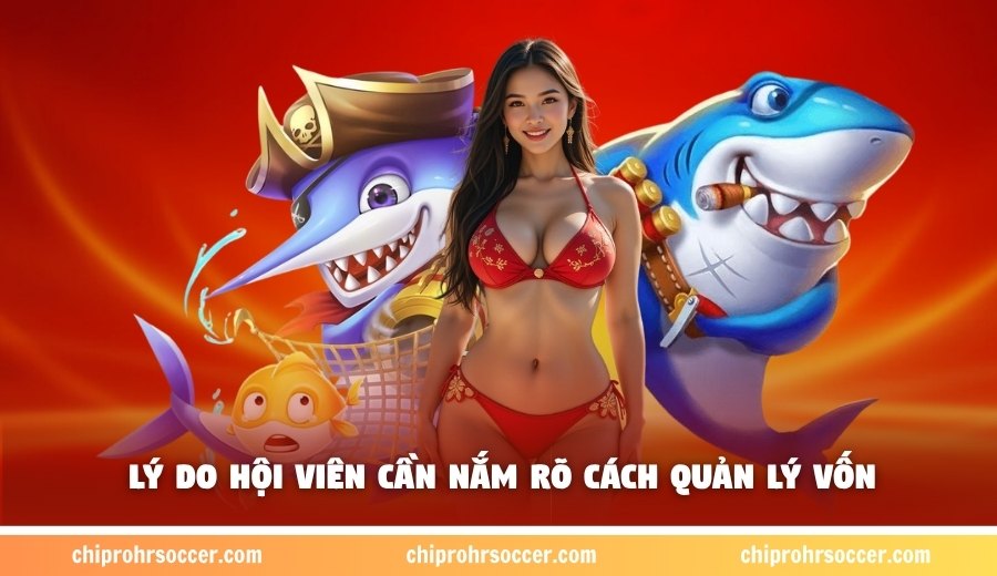 Lý do hội viên cần nắm rõ cách quản lý vốn