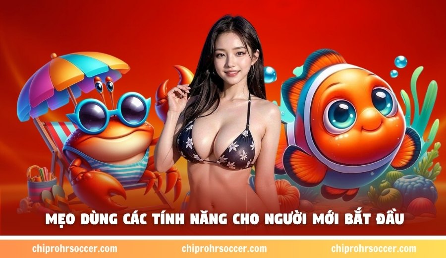 Mẹo dùng các tính năng cho người mới bắt đầu