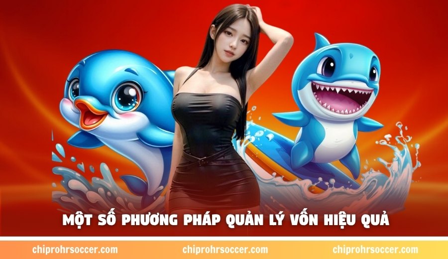 Một số cách quản lý vốn cho hội viên