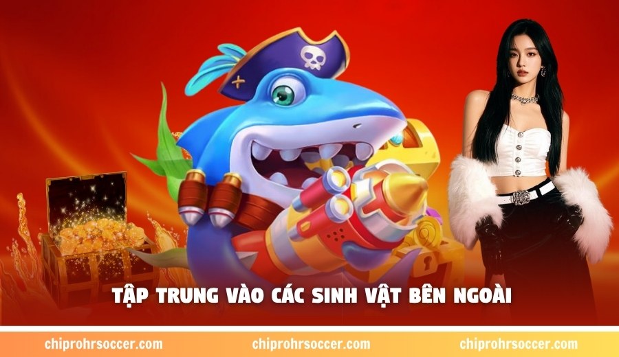 Tập trung vào các sinh vật bên ngoài