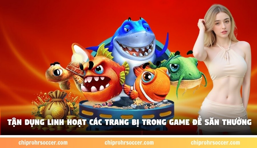 Tận dụng linh hoạt các trang bị trong game để săn thưởng