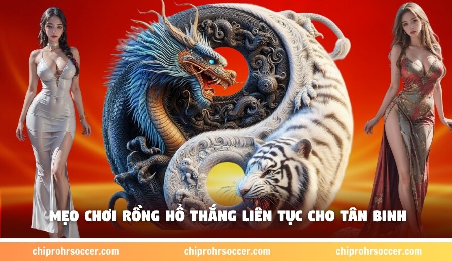 Mẹo chơi Rồng Hổ thắng liên tục cho tân binh