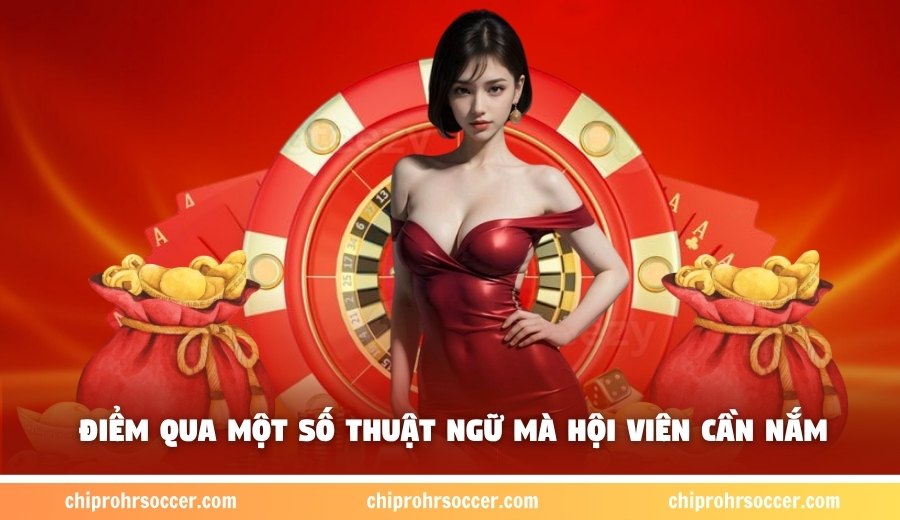 Điểm qua một số thuật ngữ mà hội viên cần nắm
