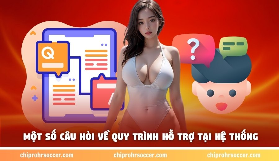 Một số câu hỏi về quy trình hỗ trợ tại hệ thống