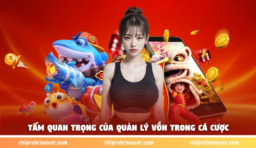 Tầm quan trọng hàng đầu của quản lý vốn trong cá cược